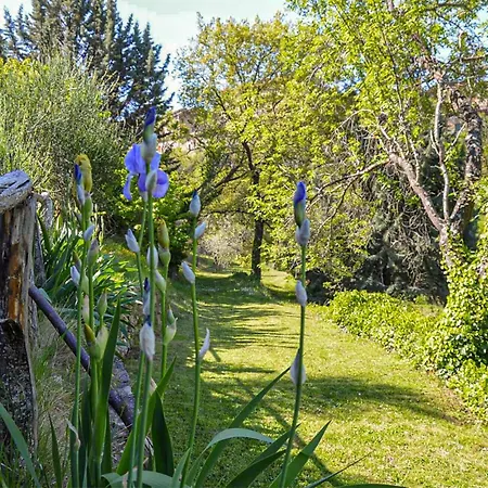 4 Bedroom Lovely In Apartment Paciano